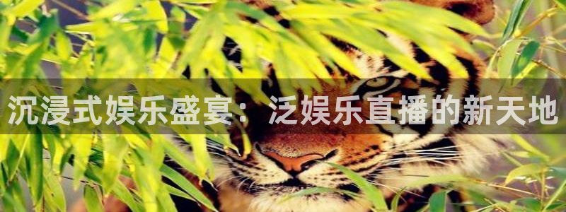 赢咖2登录首页