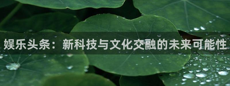 赢咖3注册
