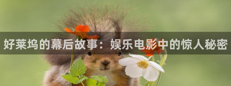 赢咖平台怎么注册