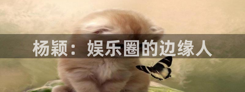 赢咖代理