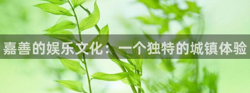 赢咖2