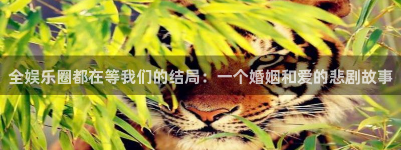 赢咖登录