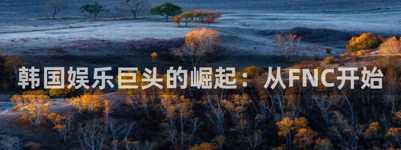赢咖3官网平台